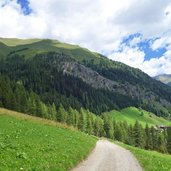 villgraten wiesen bei alfenalm
